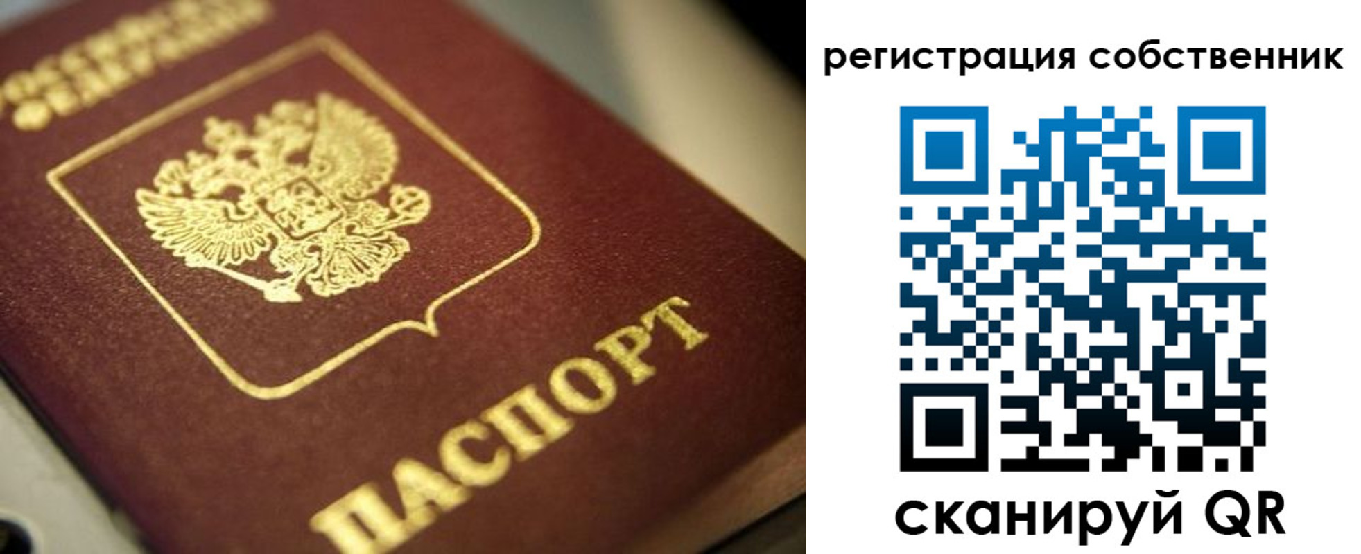 прописка в Змеиногорске